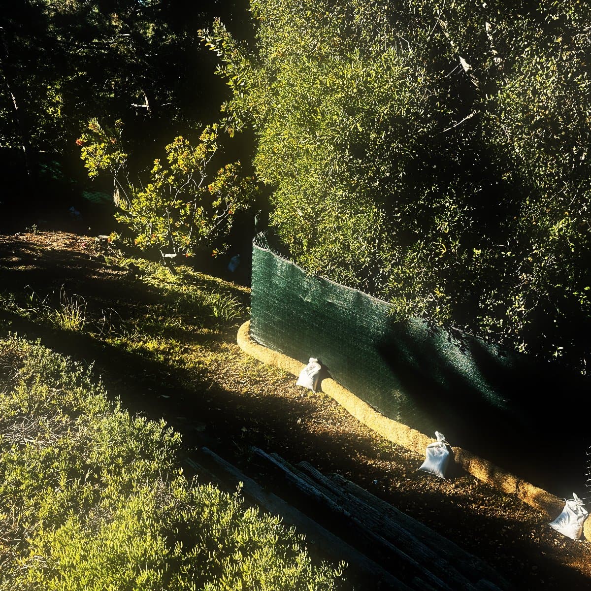 Fiber roll run along the boundary of a wooded hillside lot and weighted down with sandbags, screened perimeter fencing standing behind it