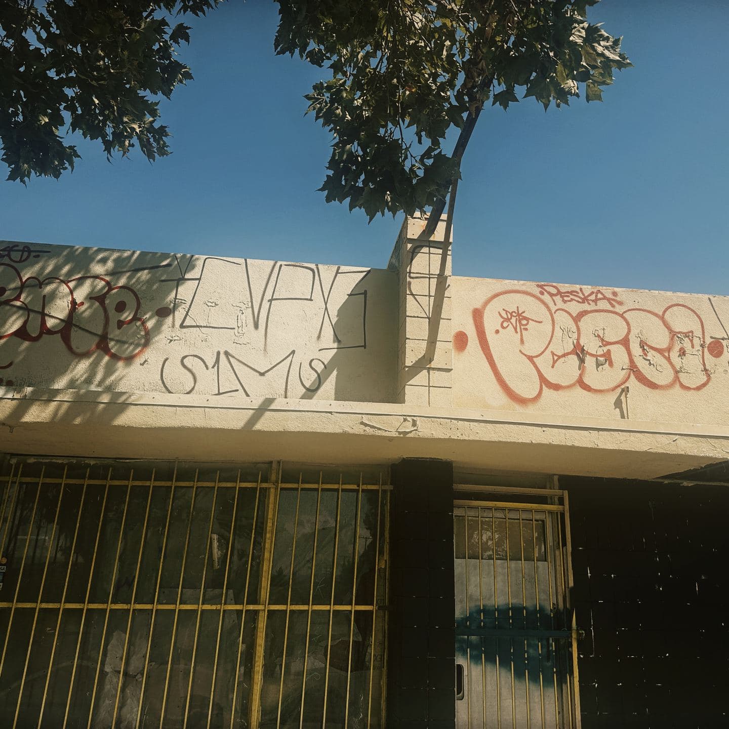 The Pomona storefront before work began, its fascia covered in tagging above yellow security bars and boarded plate glass