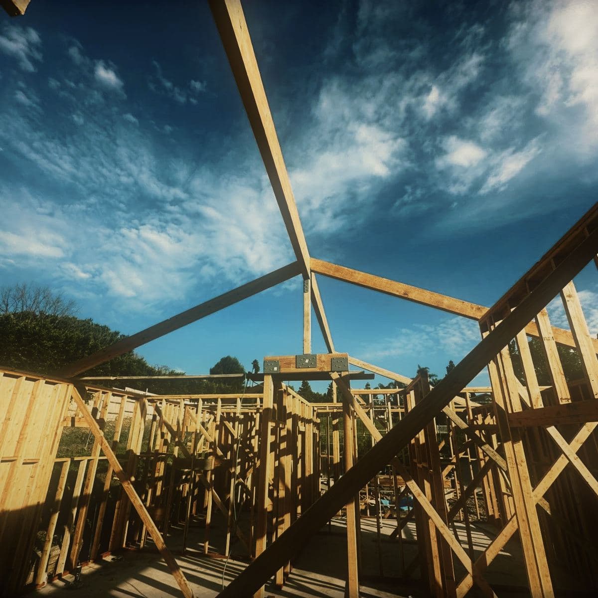 The open cathedral ceiling seen from inside the frame, rafters and ties against open sky before the roof went on