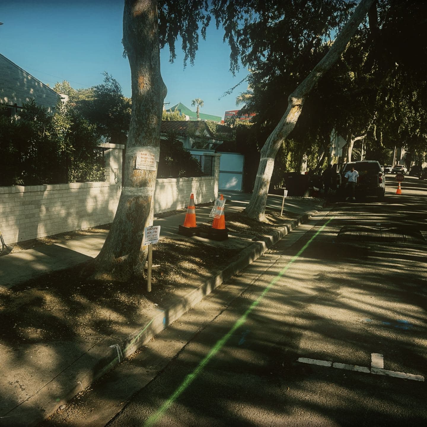Green utility marking painted down the street at Westmount, with cones staged on the verge, hand tools against the property wall and a work-hours notice posted on the street tree