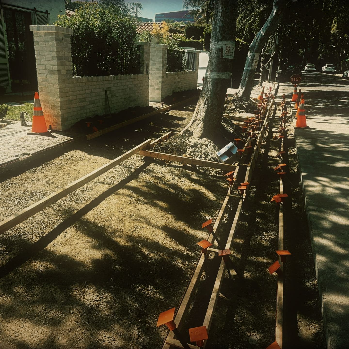 Redwood formwork staked to grade running the full length of the right-of-way, every steel stake fitted with an orange safety cap, cones lining the curb
