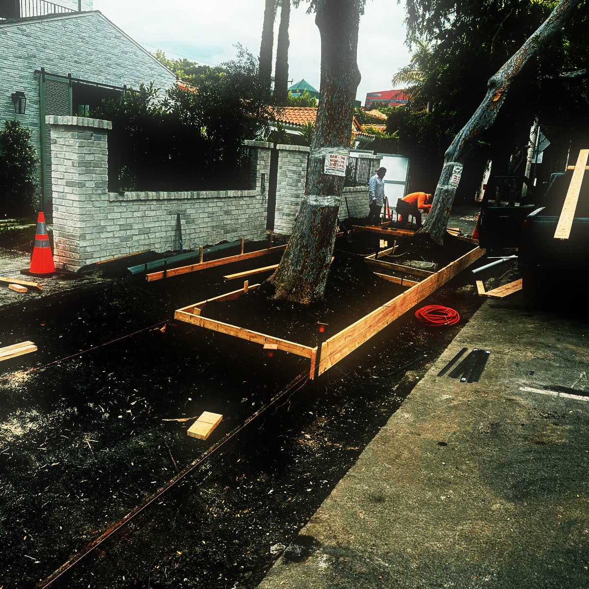 Timber formwork set out around a street tree and staked to grade along a frontage, with a run of loose stakes and framing lumber laid ready beside it