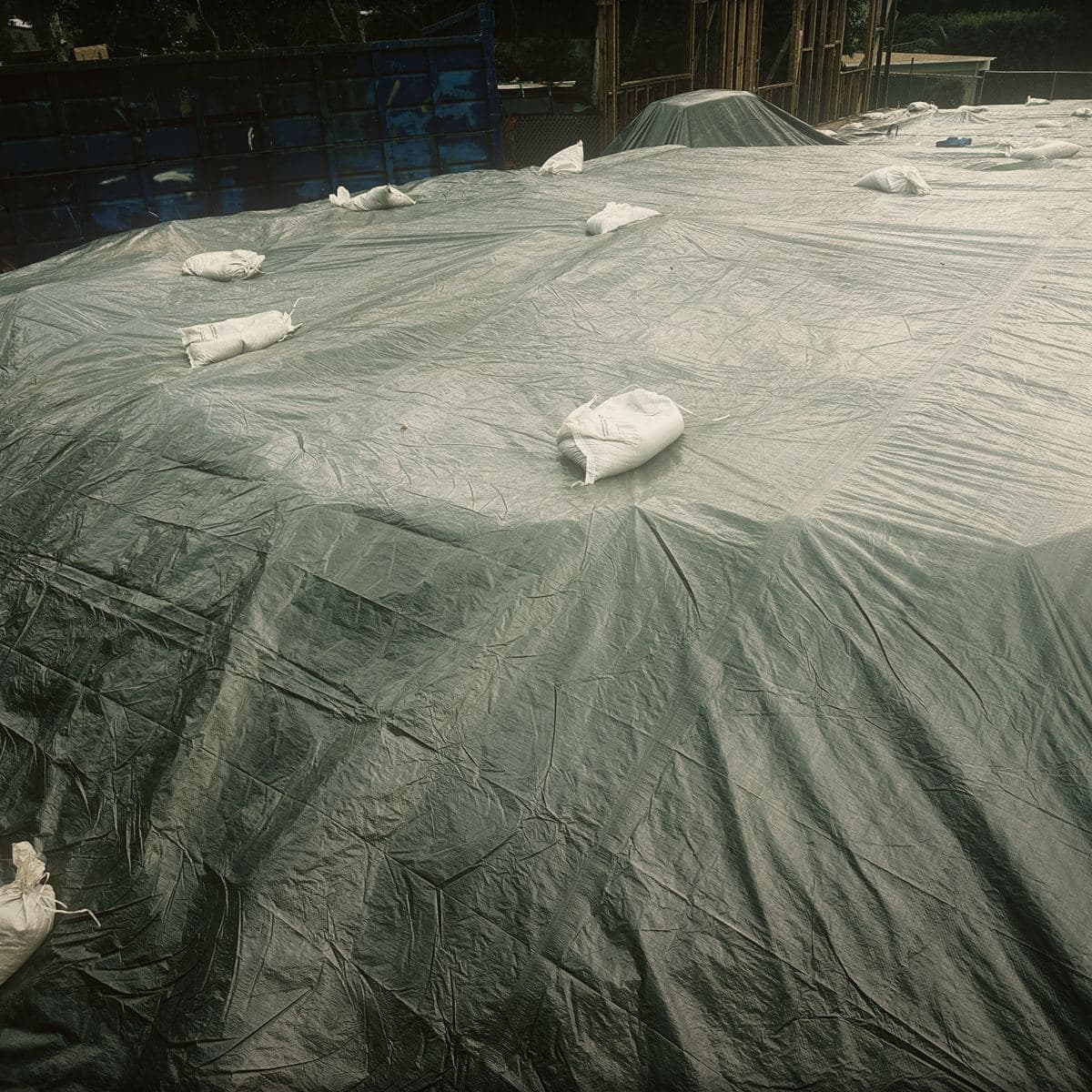 The entire excavated slope on the Brentwood site drawn over with gray sheet cover and weighted down on a regular grid of white sandbags