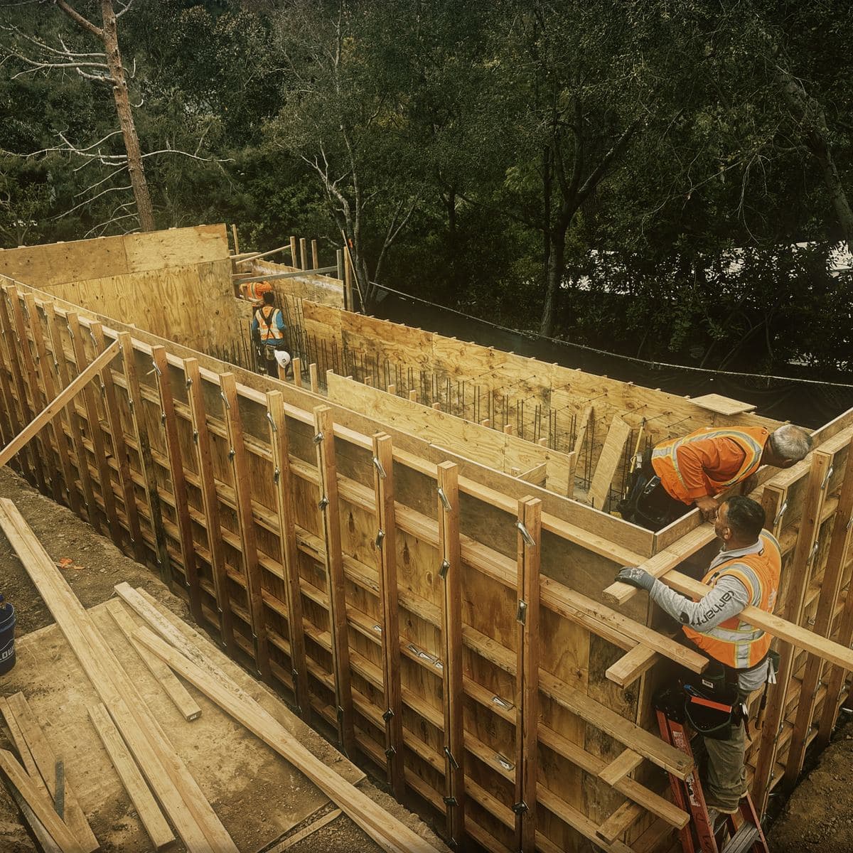 Crew setting and bracing the timber basement wall forms on the Brentwood site, walers and kickers run along the outside of the form face
