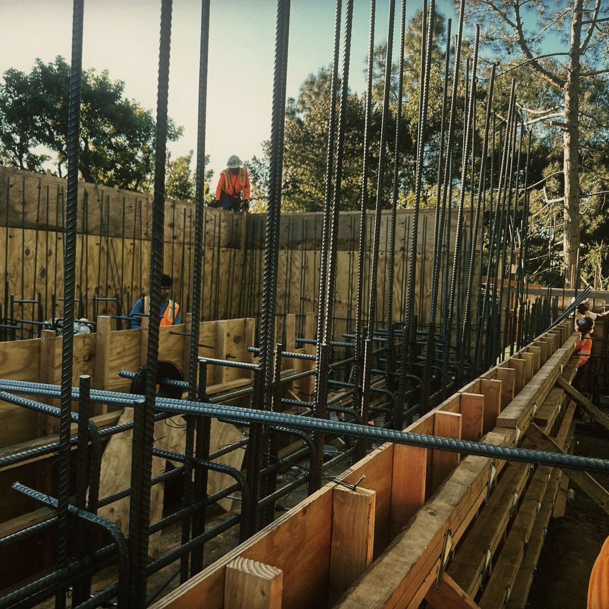 Vertical and horizontal reinforcing steel tied through the full height of the Brentwood basement wall, seen from inside the formed box against the sky
